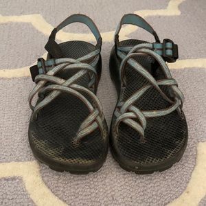 GUC Chaco Zebra Aqua Print | W8
